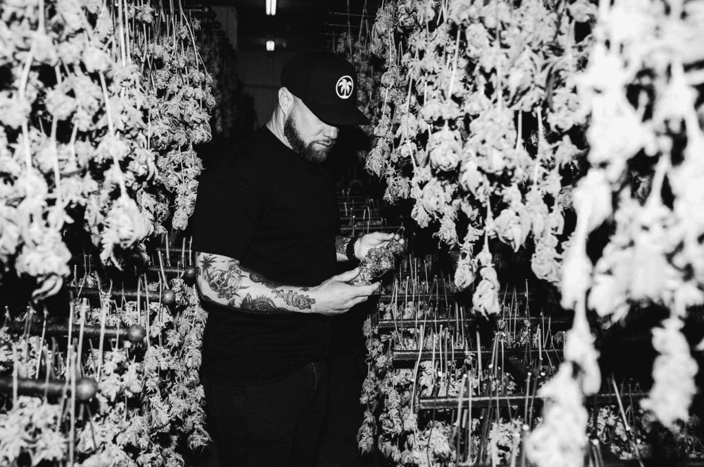 Caleb Counts, Connected